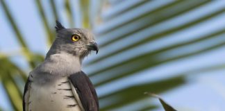 База База фото