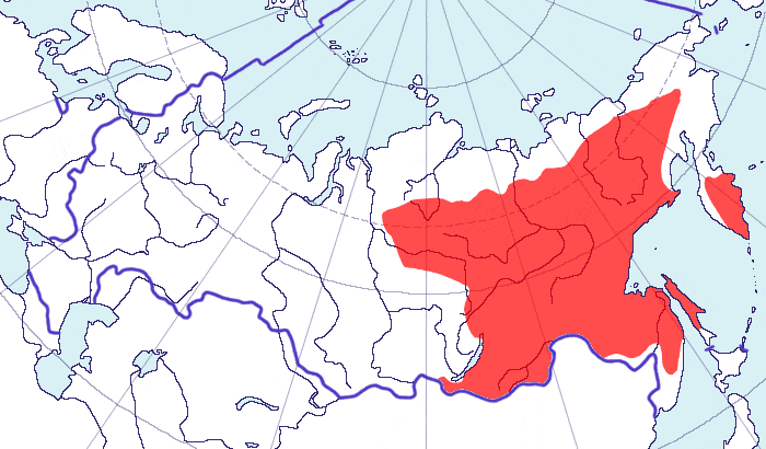 Распространение каменного глухаря