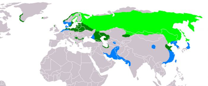 Распространение орлана фото