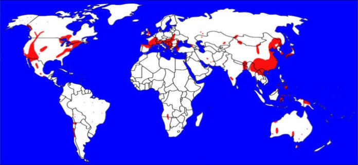 Месторождения актинолита