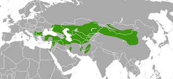 Распространение перевязки