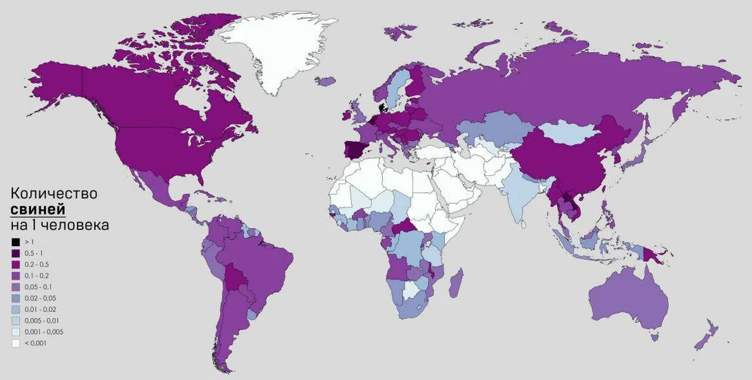 сколько свиней