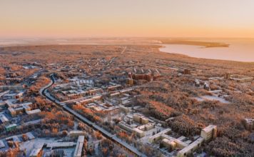 Птицы Петропавловской области (Казахстан)