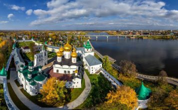 Птицы Костромской области