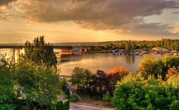 Птицы Николаевской области