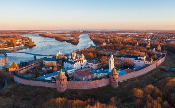 Птицы Новгородской области