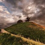 Птицы Луганской области