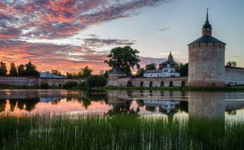 Птицы Вологодской области