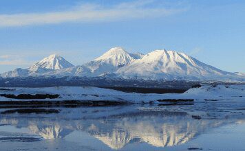 Птицы Камчатки