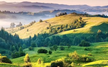 Птицы Карпат