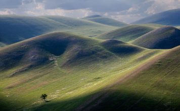 Птицы Актобе (Казахстан)