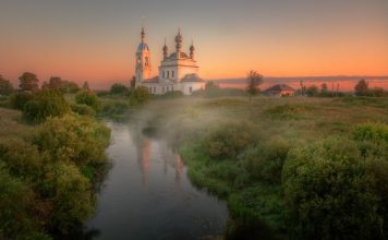 Птицы Ярославской области