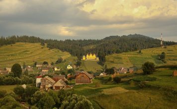 Птицы Закарпатья