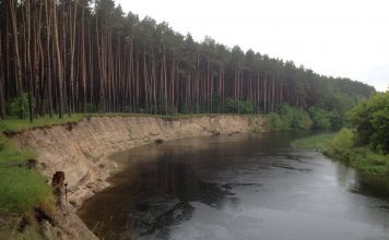Птицы Ровненской области