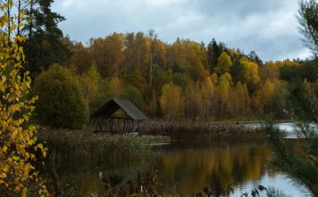 Птицы Хмельницкой области