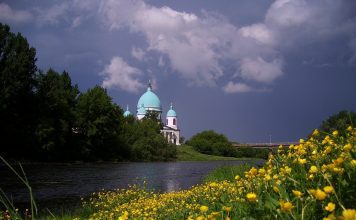 Птицы Тамбовской области