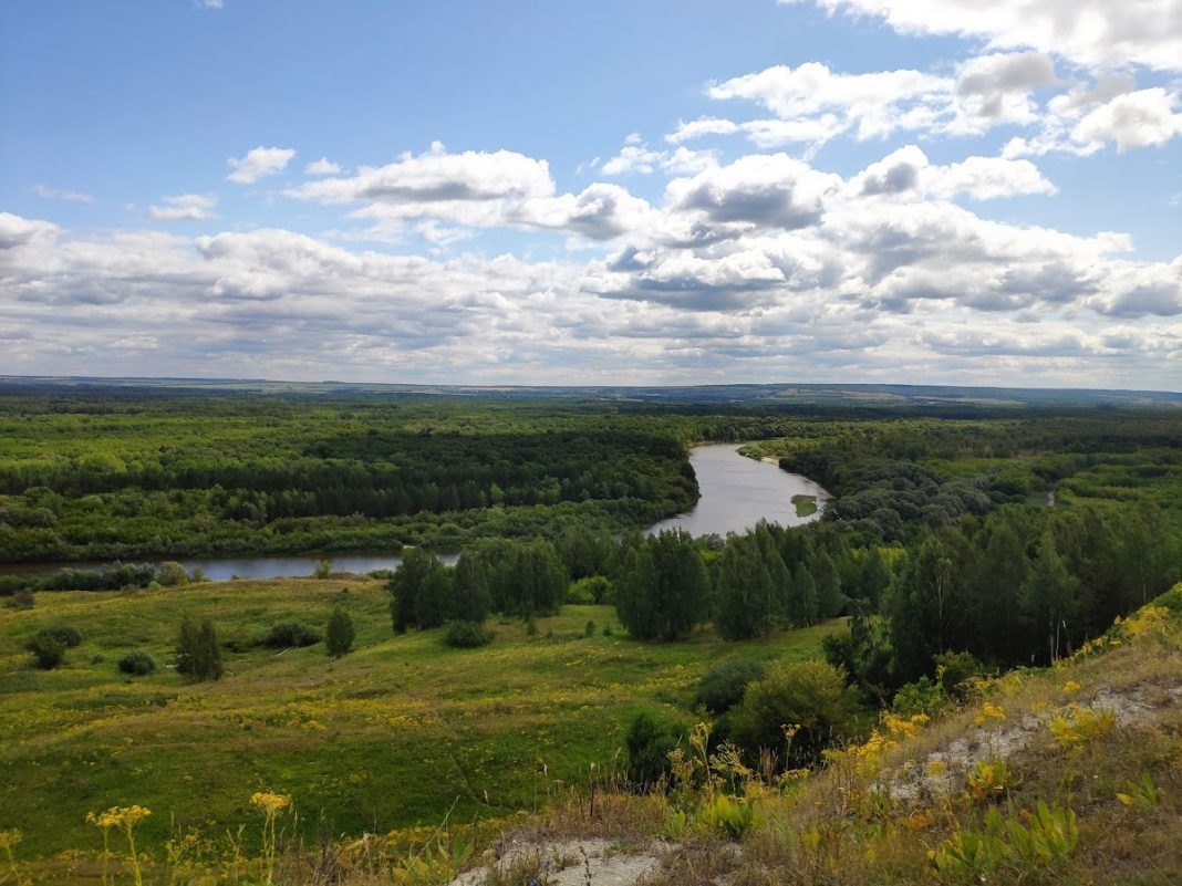 Птицы Ульяновской области