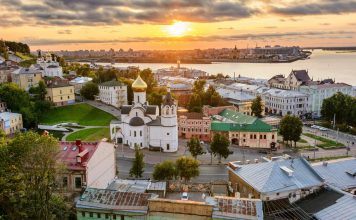 Птицы Нижегородской области