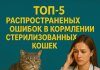 ТОП-5 распространенных ошибок в кормлении стерилизованных кошек