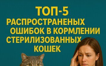 ТОП-5 распространенных ошибок в кормлении стерилизованных кошек